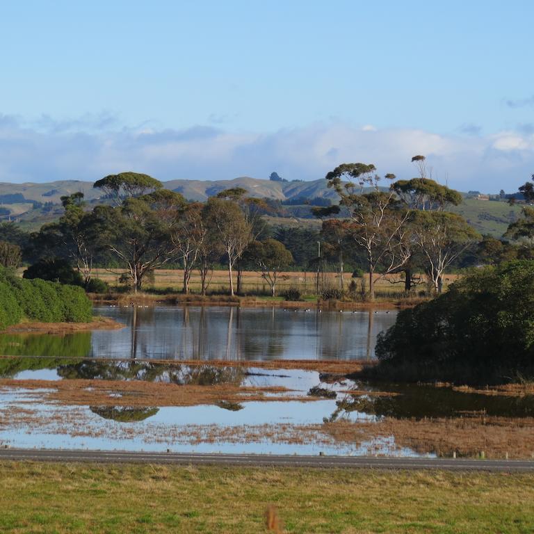 Fairley Motor Lodge Napier Esterno foto